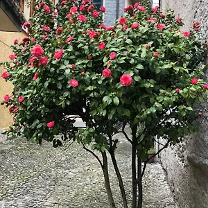 Casa Appartement